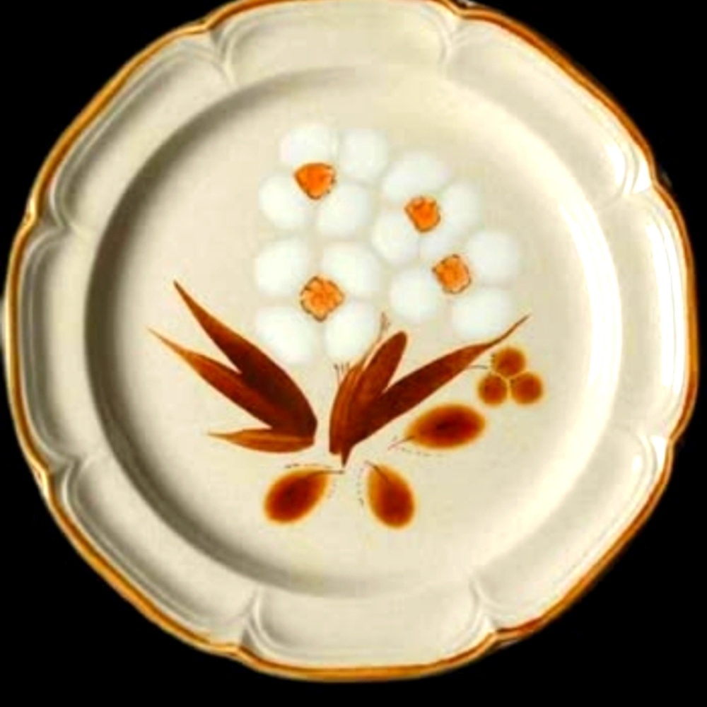 Set 2, 4 Or 6 The Classics Hearthside Castlewood Dinner Plate Stoneware Japan